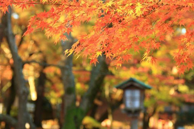 Kanazawa Guest House Nana Εξωτερικό φωτογραφία